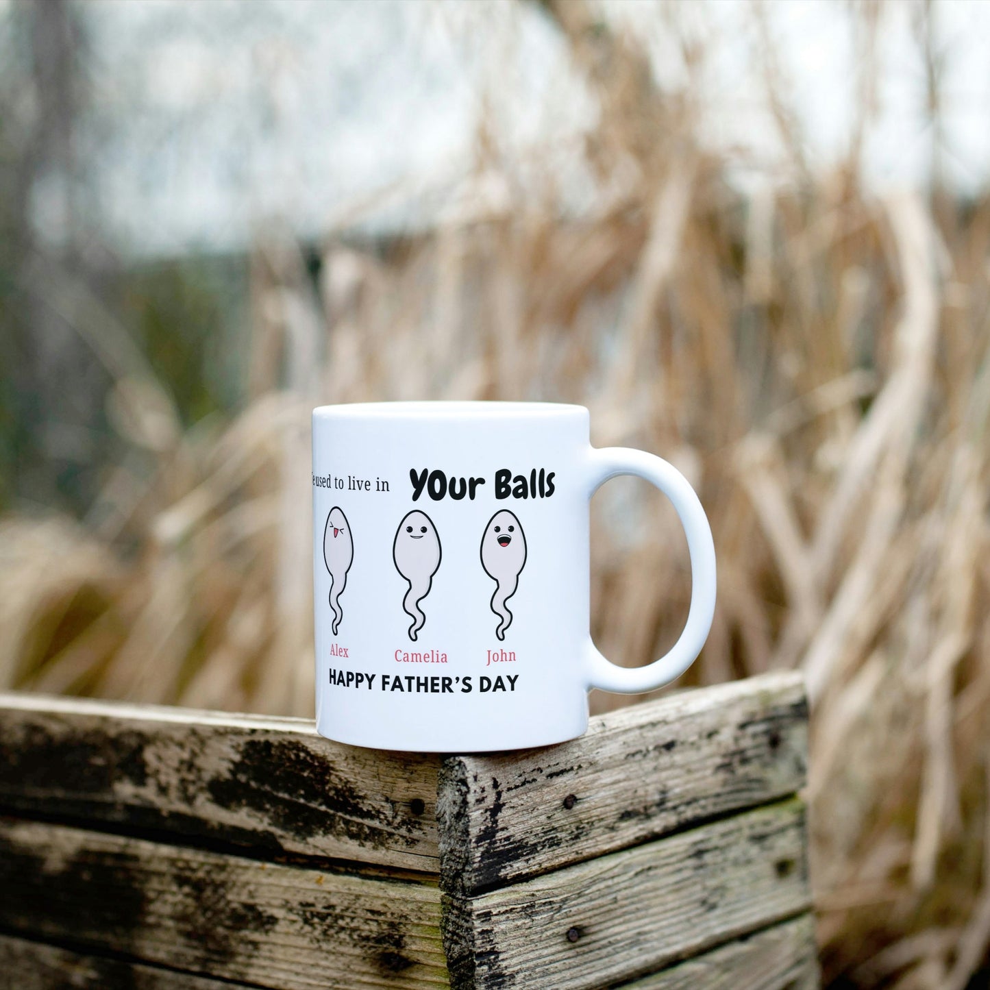 Create a hilarious custom mug “We Used to Live in Your Balls” with kids’ names and sperm icons. funny personalized dad mug, we used to live in your balls mug, custom kids name mug, gag gift for dad, humorous father’s day mug