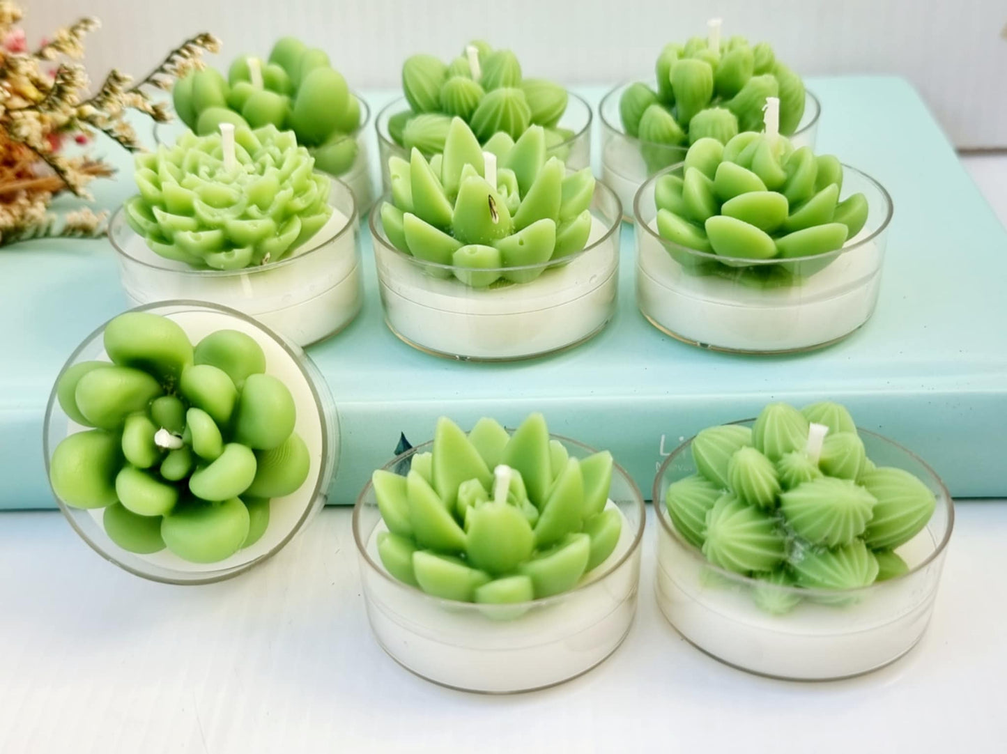 Cactus Circle Tealights - Pack of 6