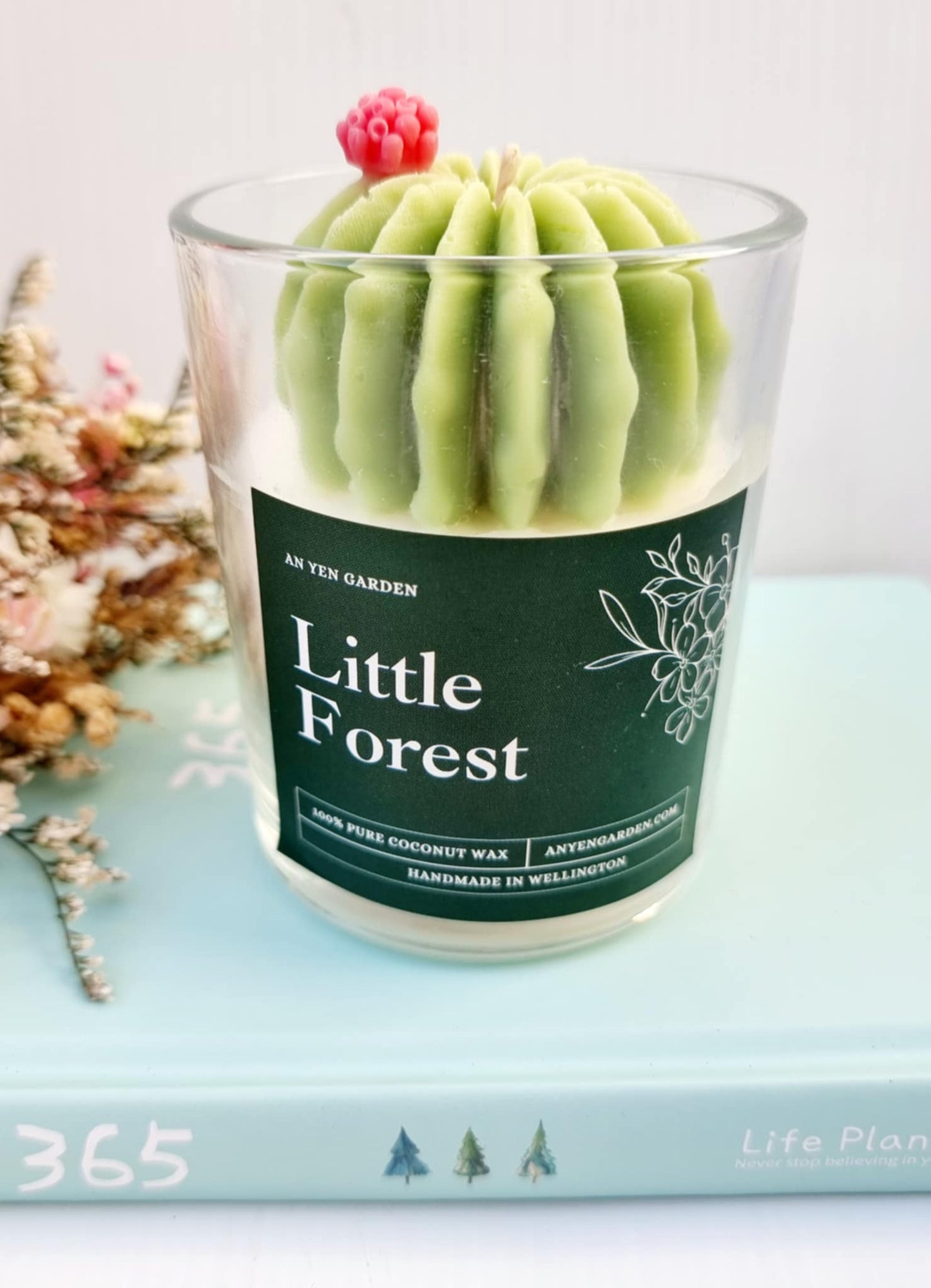 Succulent Candle - Little Forrest (Fragrance)