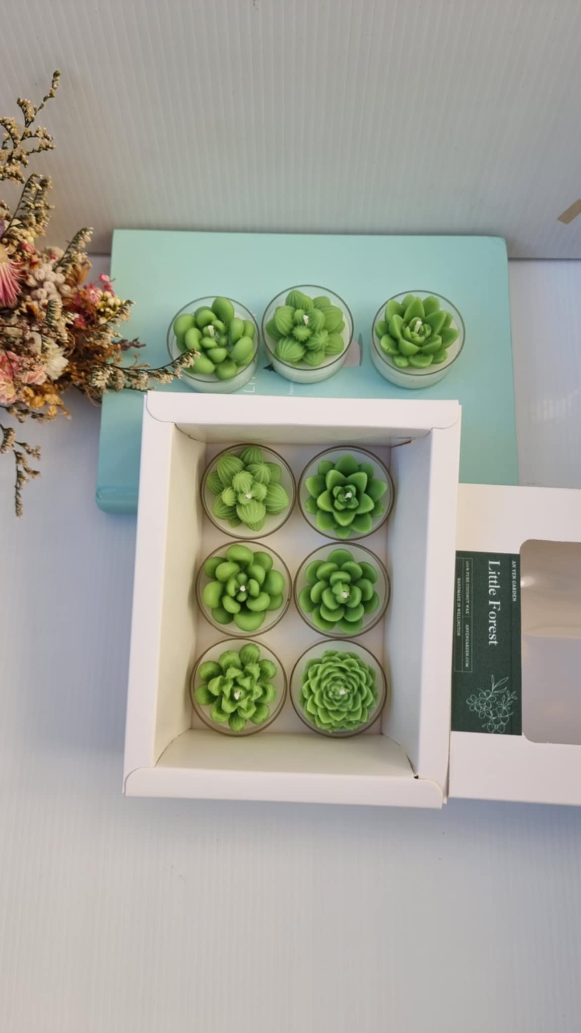 Cactus Circle Tealights - Pack of 6