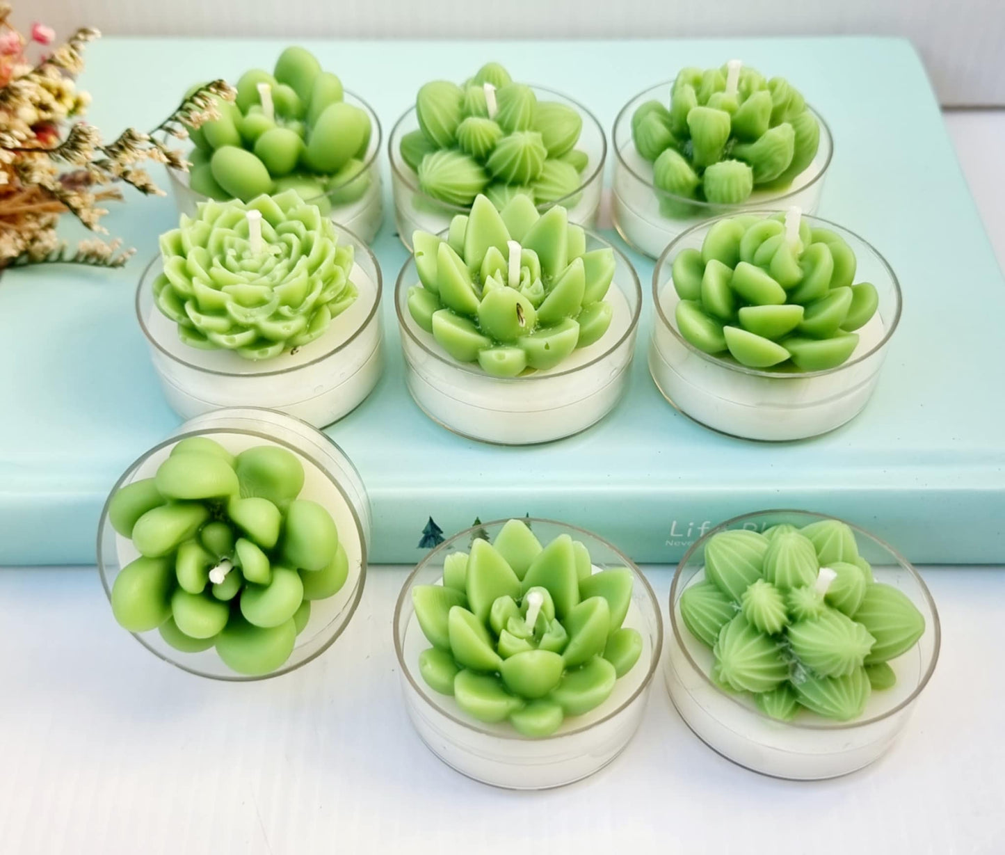 cactus, cute, gift idea, coconut wax, party favor